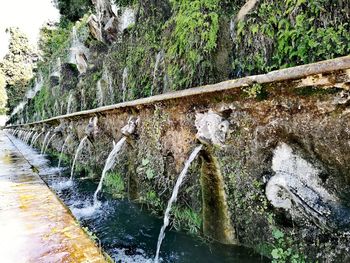 Scenic view of waterfall in park