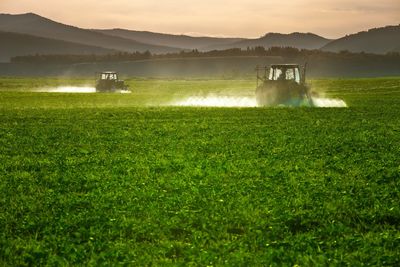 Scenic view of agricultural field against sky