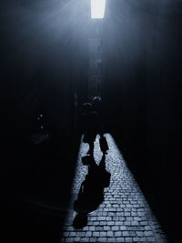 Silhouette woman in illuminated lights at night