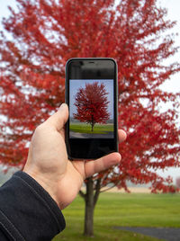 Midsection of person holding mobile phone