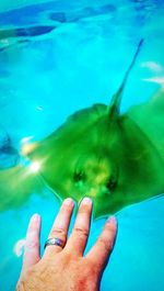 Cropped image of hand against blue sea