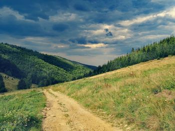 Road amidst green landscape against sky
