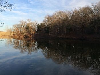 Reflection of trees in water