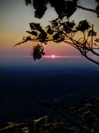 Scenic view of silhouette tree against sky during sunset