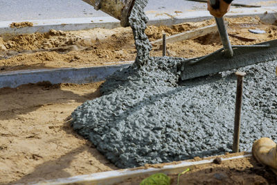 Close-up of an animal on sand