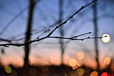 Close-up of barbed wire