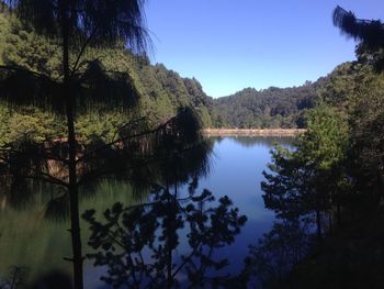 Reflection of trees in lake against clear sky