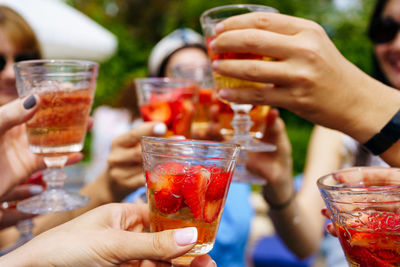 Friends clinking glasses with cocktails on summer weekend day. picknick