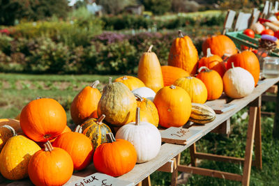 Pumpkins for sale at market