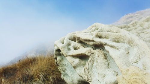 Close-up of statue against clear sky