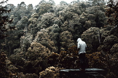 Rear view of man standing by trees in forest