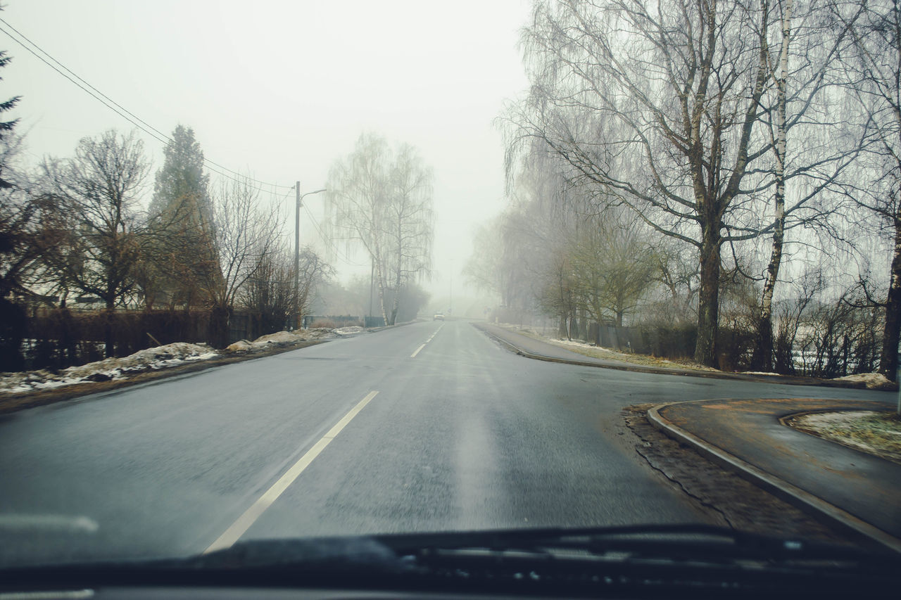 ROAD AMIDST TREES AGAINST SKY SEEN FROM CAR