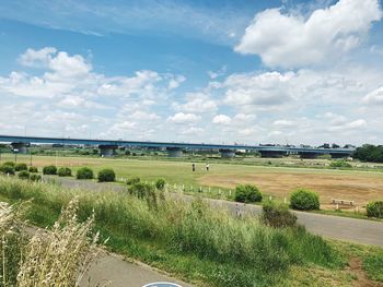 Scenic view of field against sky