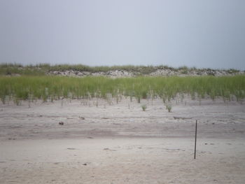 Scenic view of landscape