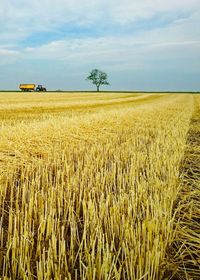 Scenic view of field against cloudy sky