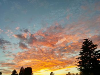 Low angle view of cloudy sky at sunset