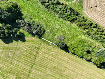 Scenic view of agricultural field