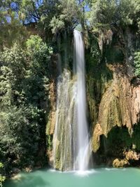 Scenic view of waterfall in forest