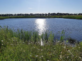 Scenic view of lake against sky