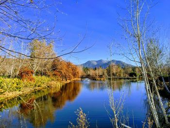 Scenic view of lake against clear blue sky