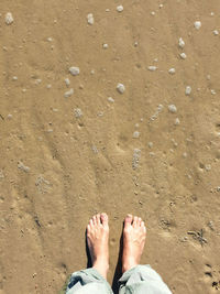 Low section of person standing barefoot on sandy beach