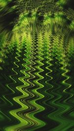 Full frame shot of green tree