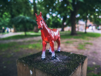 Portrait of horse standing on tree stump