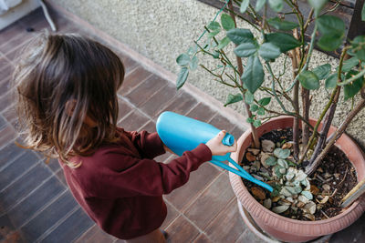 High angle view on child with  holding blue watering can watering rose in the pot at home balcony