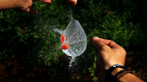 Cropped image of hands exploding water balloon