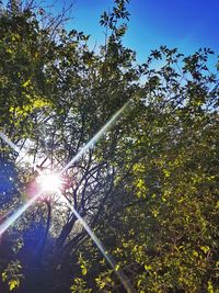 Low angle view of tree against sky