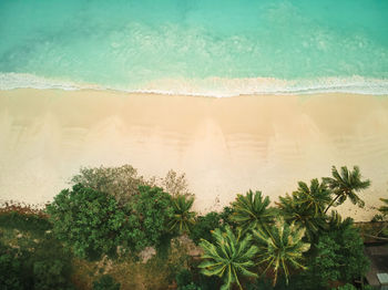 Scenic view of sea against trees