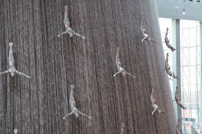 Close-up of bird hanging on beach