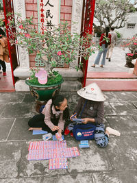 High angle view of people on plants