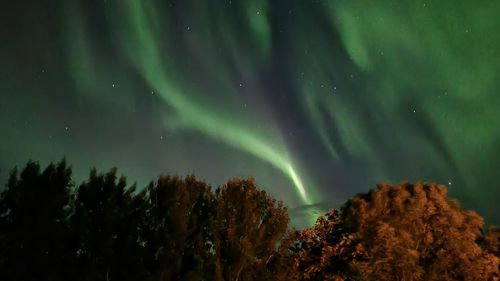 Northern lights in norway.