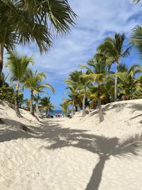 Scenic view of sea, beach and palms against sky