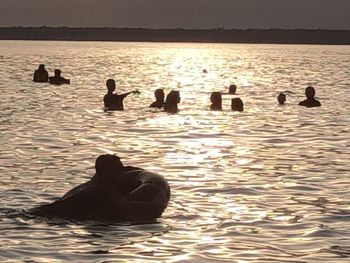 Silhouette ducks swimming in sea