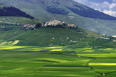 Scenic view of agricultural field