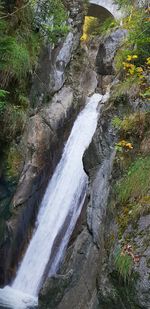 Scenic view of waterfall in forest