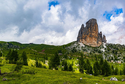 Green plain grass against dolomites