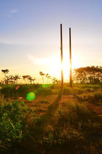 Scenic view of field against sky during sunset