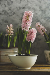 Close-up of pink flower in vase on table