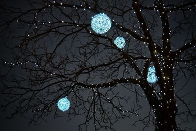 Low angle view of bare tree against sky