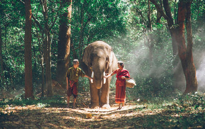 Senior couple with elephant standing in forest