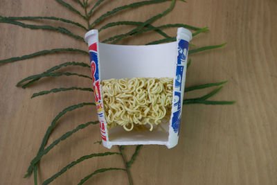 plant
