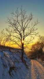 Bare tree against sky during winter