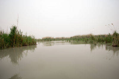 Reflection of trees in calm lake