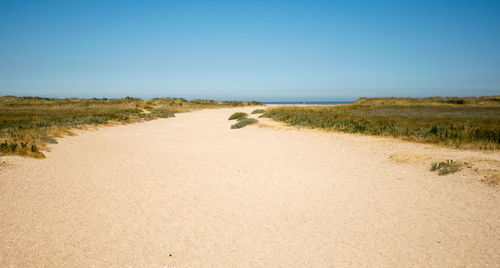 Scenic view of sandy beach against clear sky