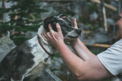 Close-up of man holding dog