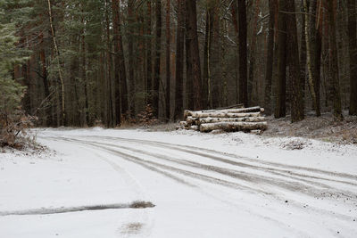 Snow covered road amidst trees in forest