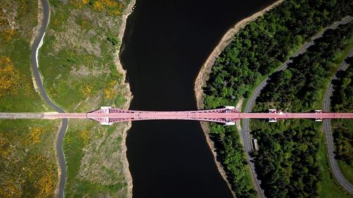 Bridge over road by trees